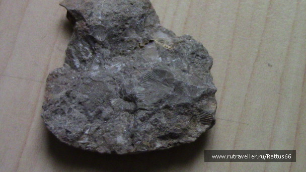 photo 593286