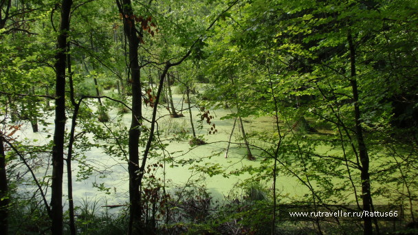 photo 589515
