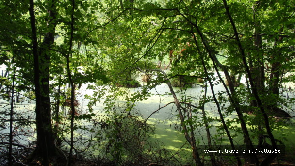 photo 589518