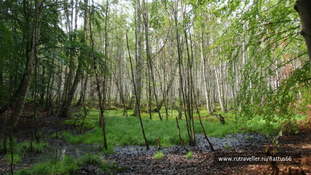 photo 589525
