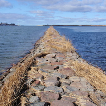 Собешевский остров (Гданьск).