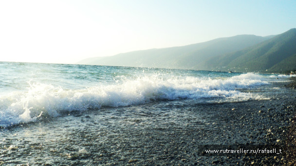 photo 458864