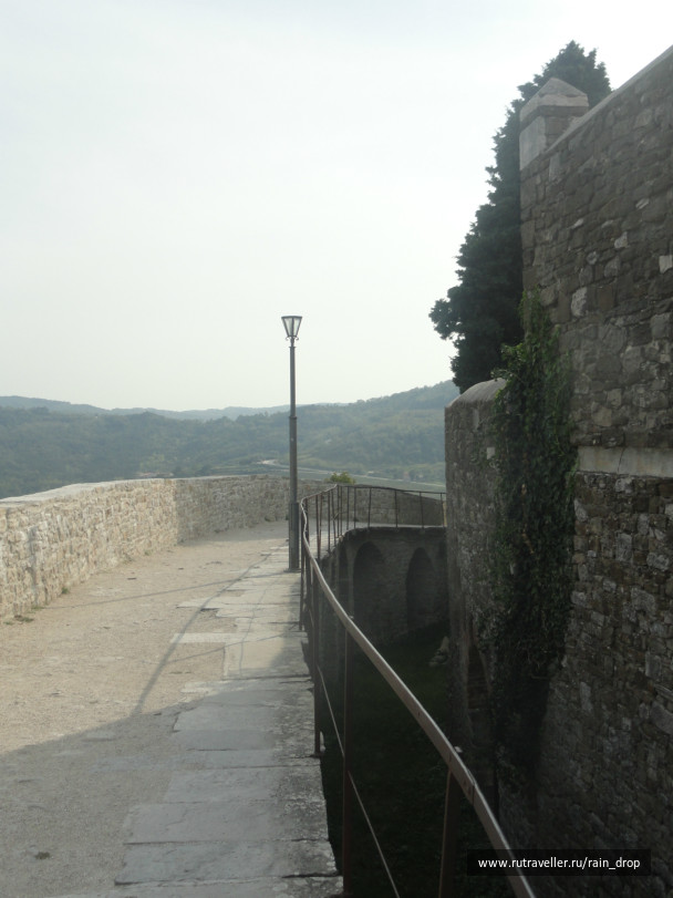 photo 390670