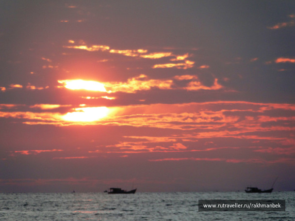 photo 440742