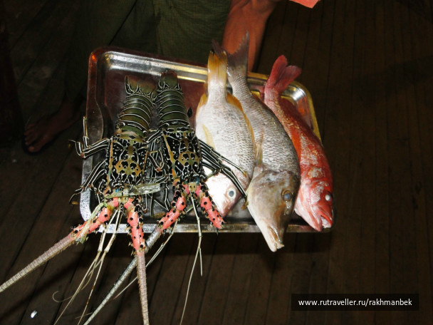 photo 440744