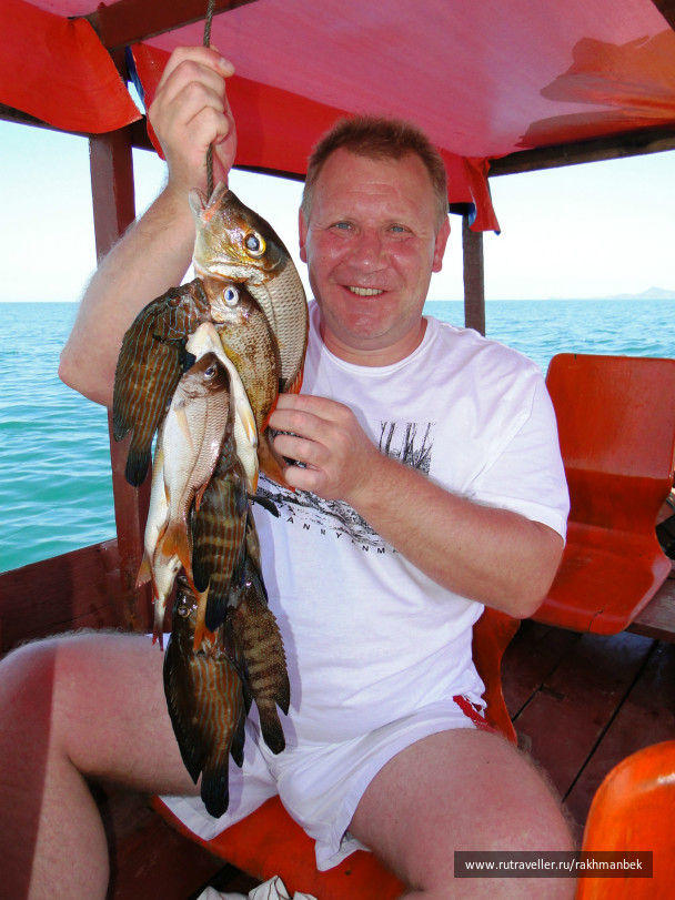 photo 440751
