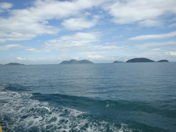 photo 49917