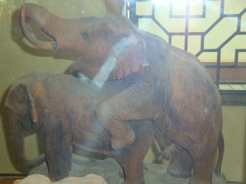 photo 77421