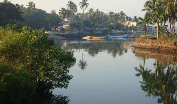 DSC00710