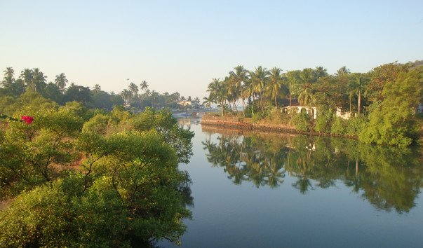 DSC00709