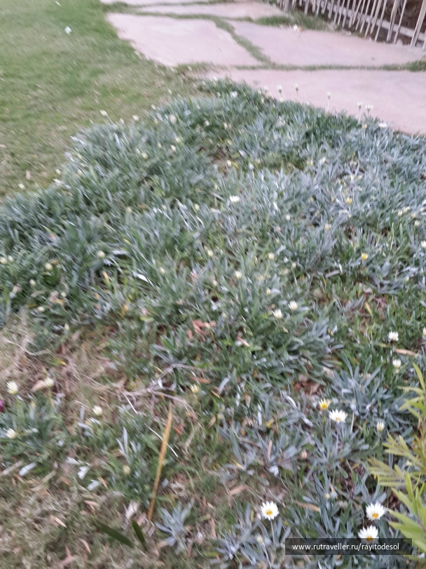 photo 739894