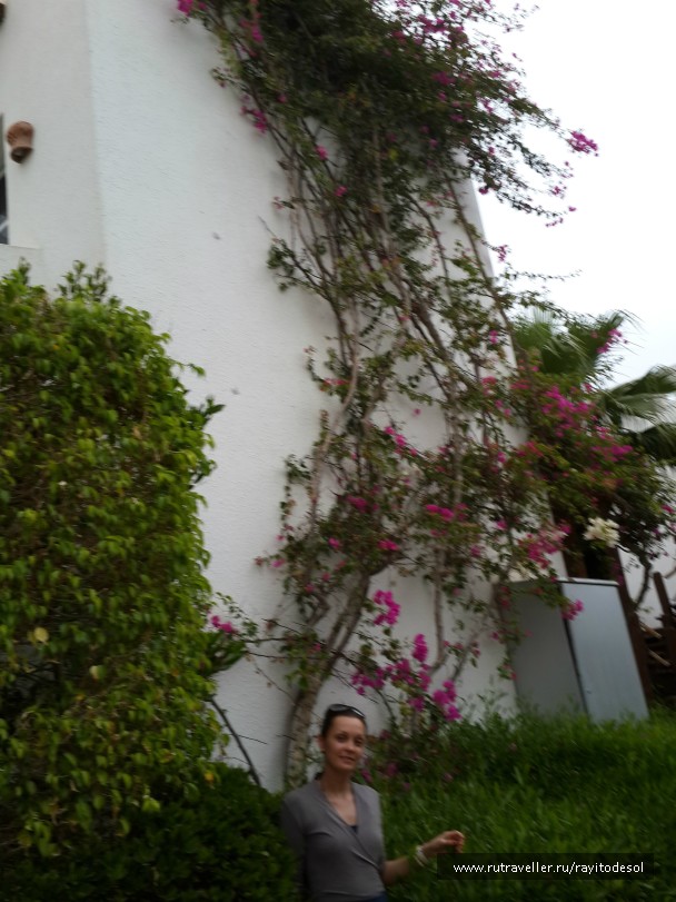 photo 739897