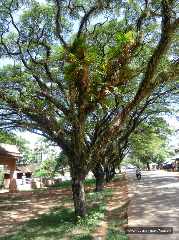 photo 668014