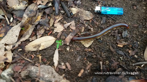 photo 1337199