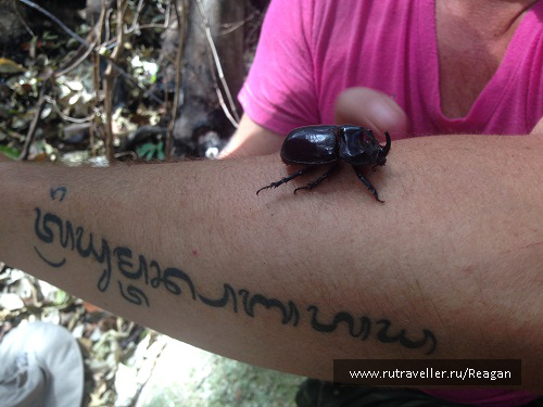 photo 1337201