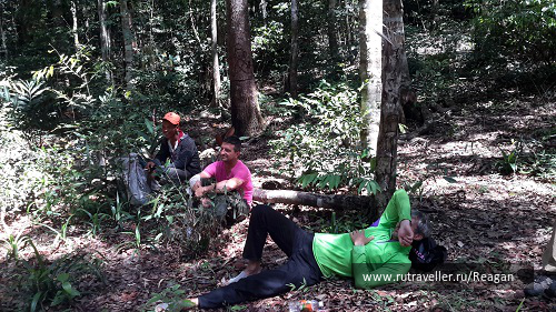 photo 1337203