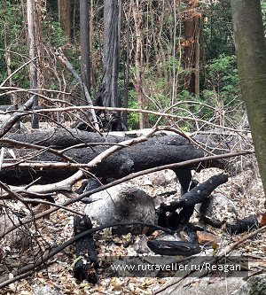 photo 1337206