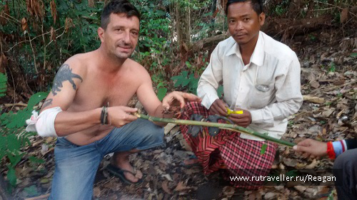 photo 1337208