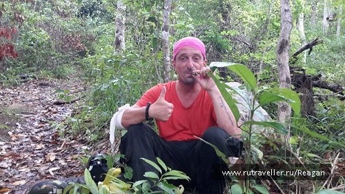 photo 1337211