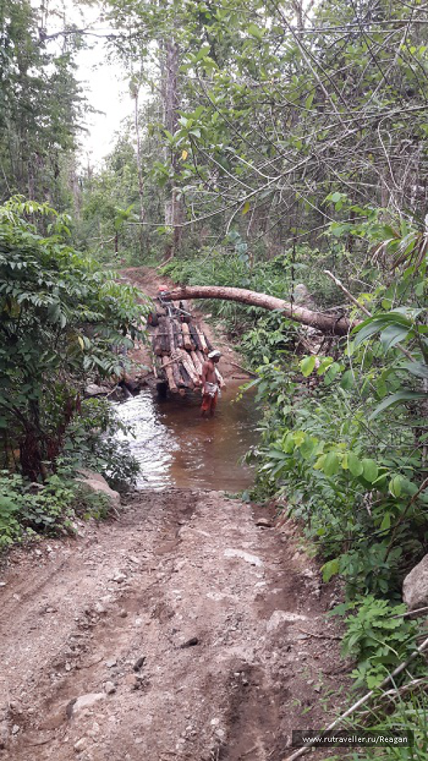 photo 1337212