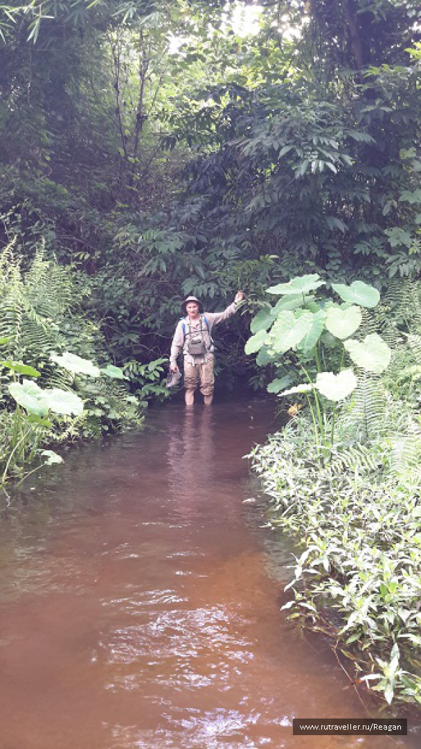 photo 1337213