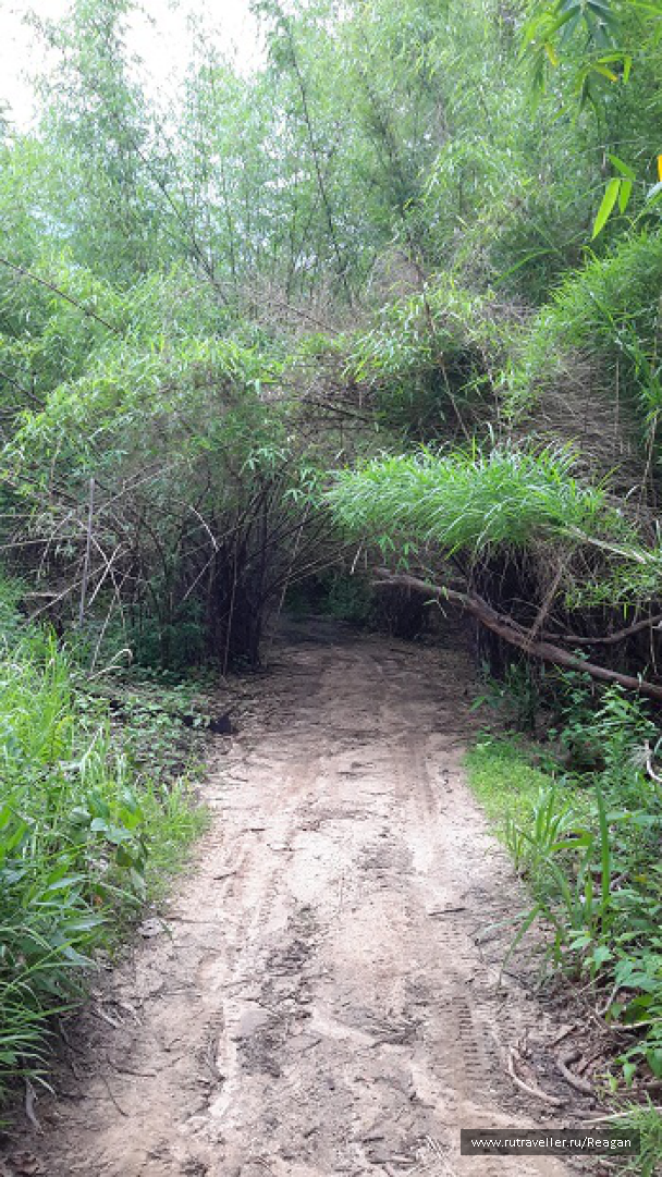 photo 1337214