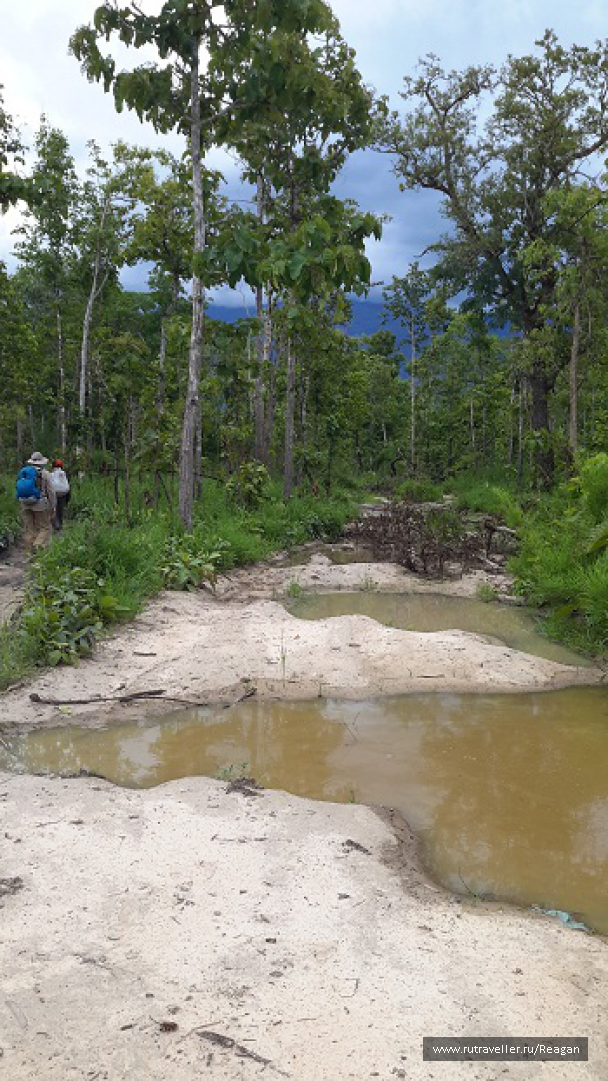 photo 1337215