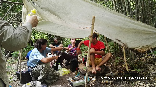 photo 1337220