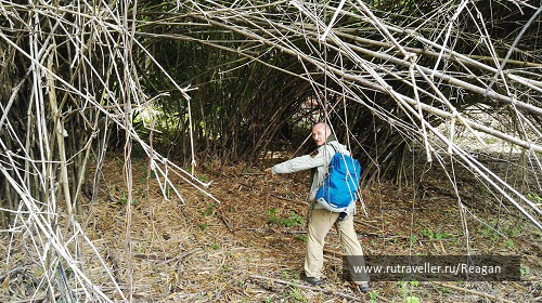 photo 1337224