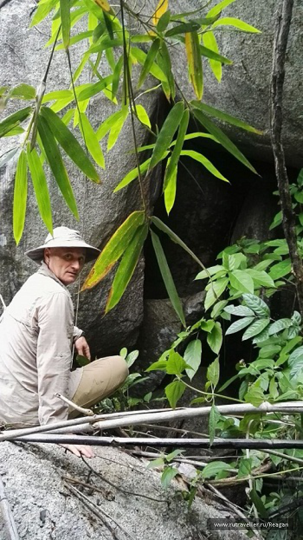 photo 1337225