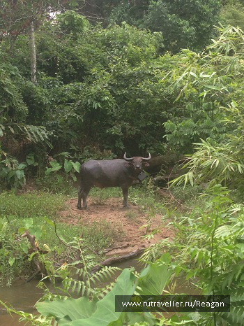 photo 1337226