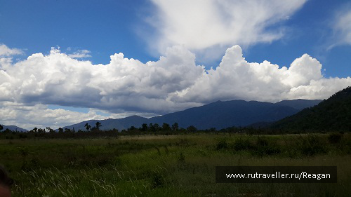 photo 1337230