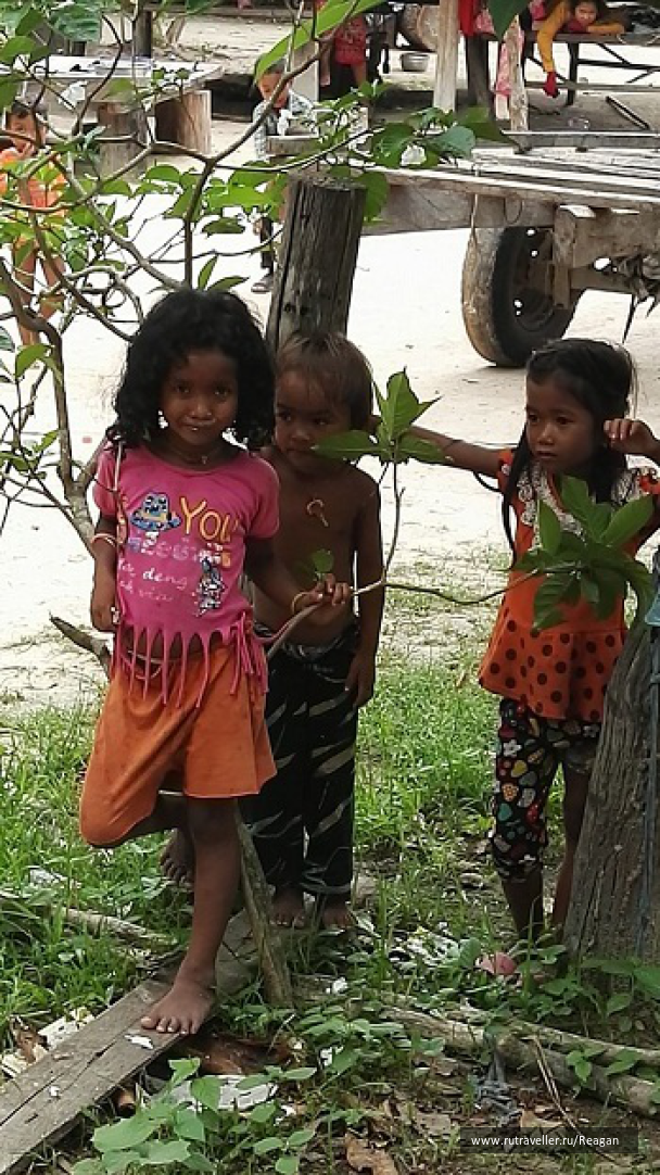 photo 1337232