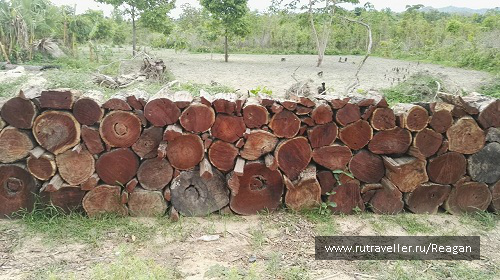 photo 1337234
