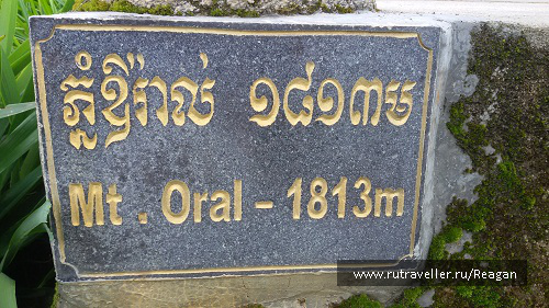 photo 1337237