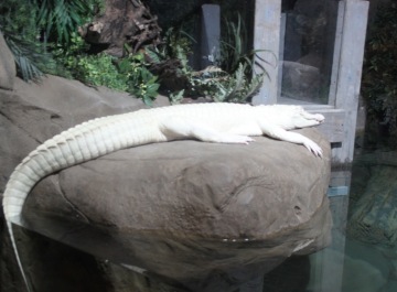 photo 1368471