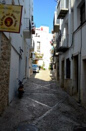 photo 1368493
