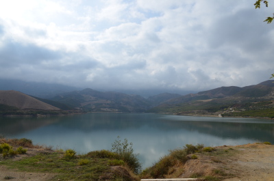 photo 1393495