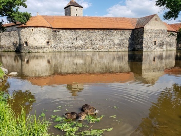photo 1666978