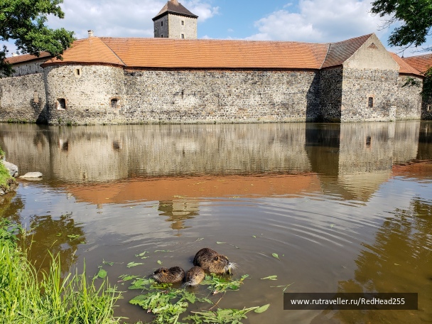 photo 1666978
