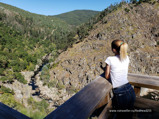 photo 1687447