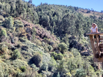 photo 1687448