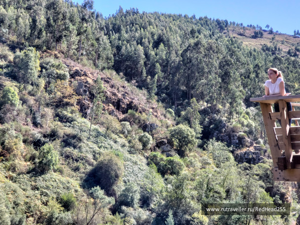 photo 1687448