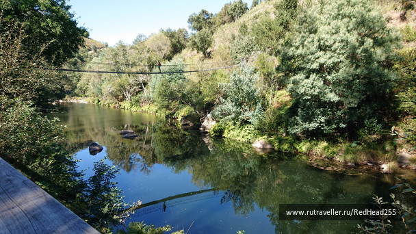 photo 1687450