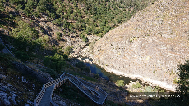 photo 1687451