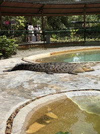 photo 2138061