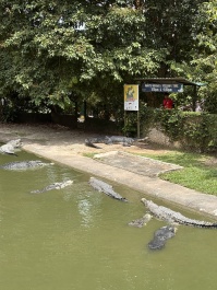 photo 2138062