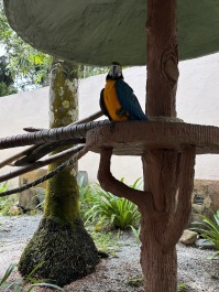 photo 2138081
