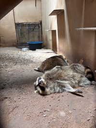 photo 2138082