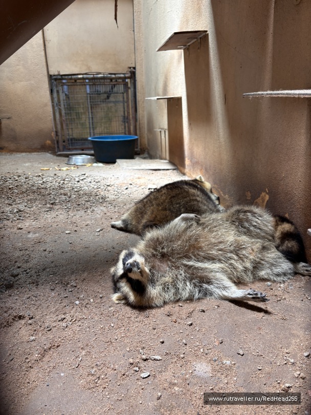 photo 2138082